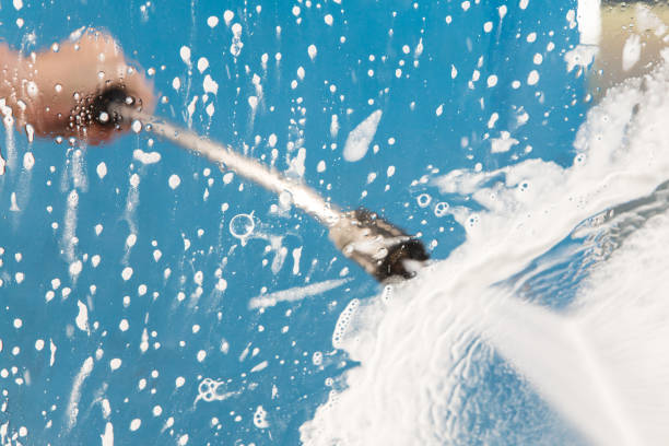 Animal Enclosure Cleaning in Bossier City, LA
